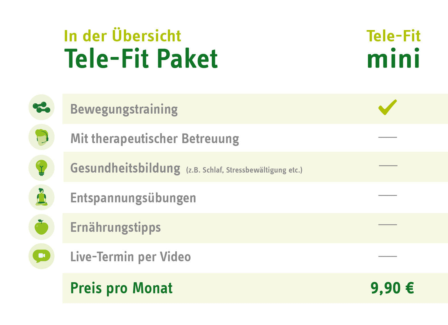 Tele-Fit mini Paket-Übersicht für das Online-Training-Programm des ZAR Kiel, perfekt für das Training zu jeder Zeit, an jedem Ort.